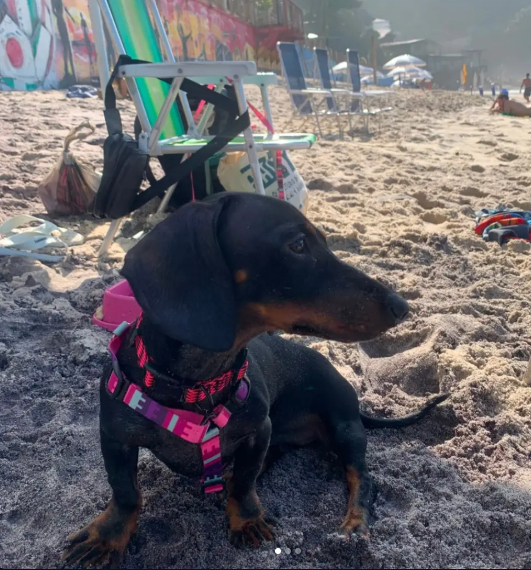 Rihanna curtindo um dia de praia
