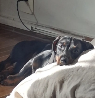 Rihanna descansando depois de um dia de trabalho