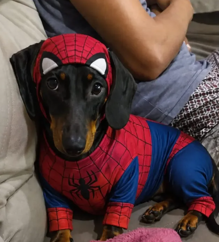 Rihanna fantasiada de super-heroína